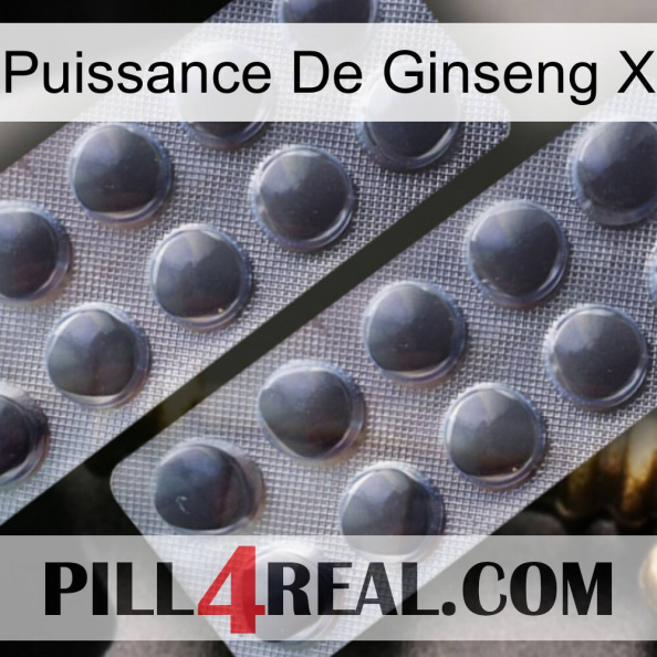 Ginseng Power X 31